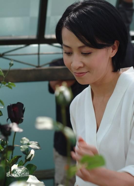 刘嘉玲(Carina Lau)2006《好奇害死猫》最新剧照