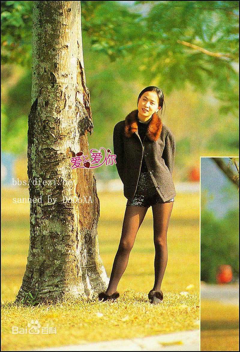 刘嘉玲(Carina Lau)怀旧经典图册