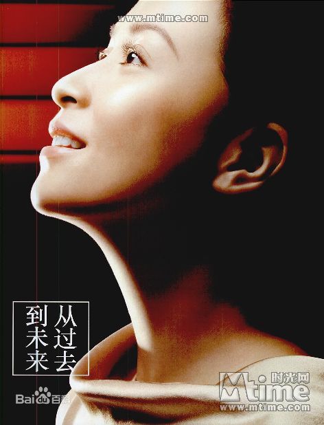 刘嘉玲(Carina Lau)精选个人2图册