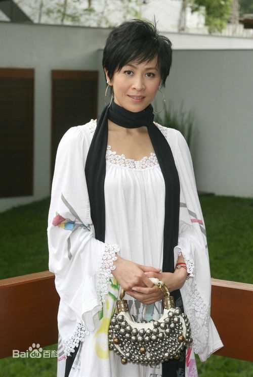 精选刘嘉玲(Carina Lau)精彩图册