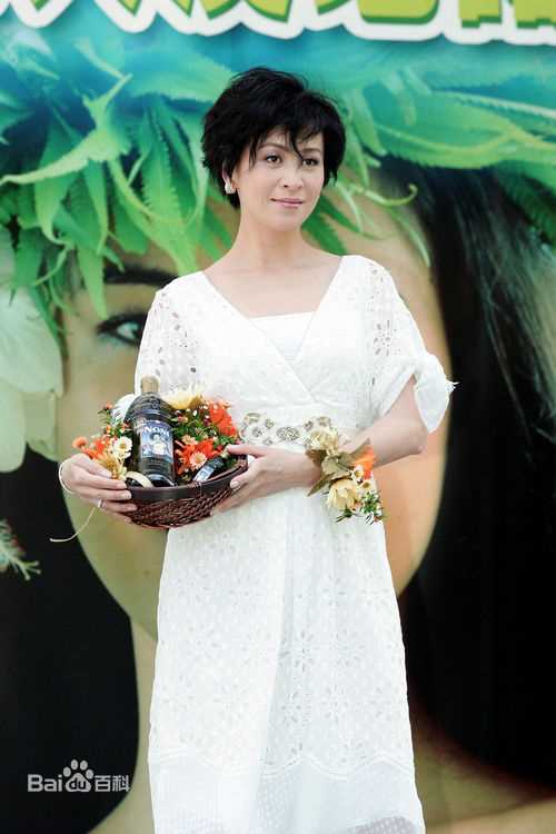 精选刘嘉玲(Carina Lau)精彩图册