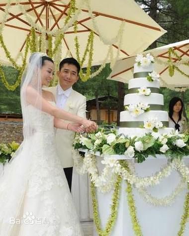 高清刘嘉玲(Carina Lau)精彩图册