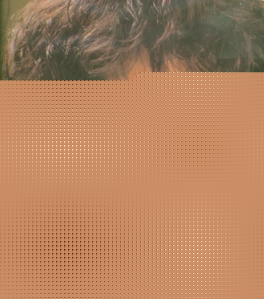 高清刘嘉玲(Carina Lau)精彩图册