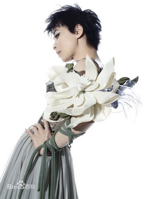 高清刘嘉玲(Carina Lau)精彩图册