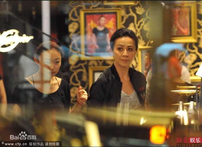 高清刘嘉玲(Carina Lau)精彩图册