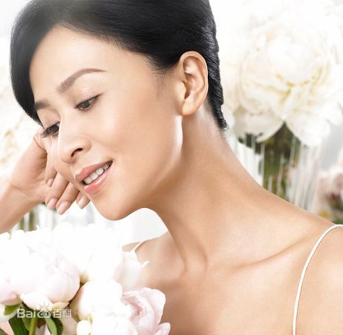 高清刘嘉玲(Carina Lau)精彩图册