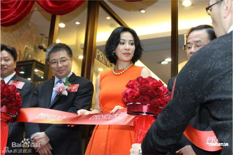 精选刘嘉玲(Carina Lau)精彩图册