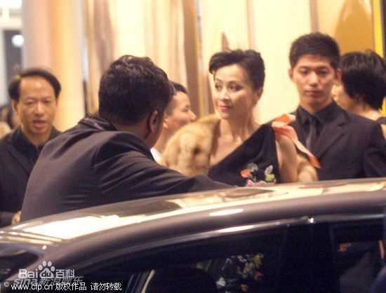 精选刘嘉玲(Carina Lau)精彩图册