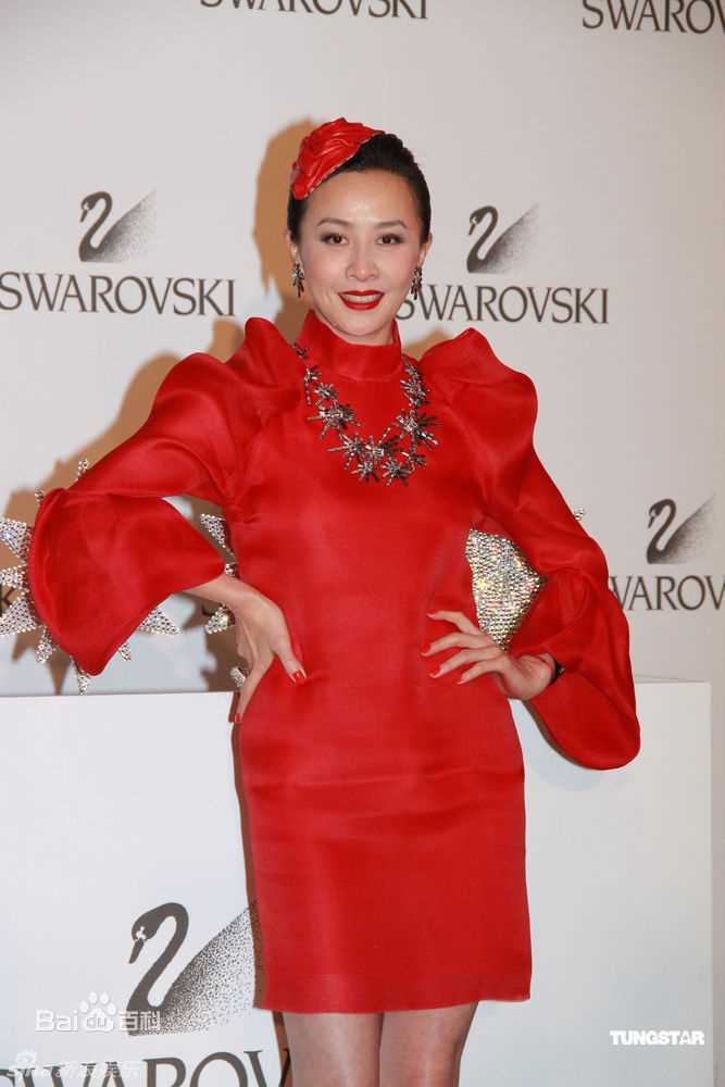 精选刘嘉玲(Carina Lau)精彩图册