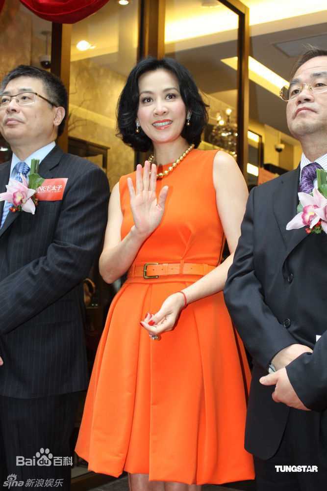 精选刘嘉玲(Carina Lau)精彩图册