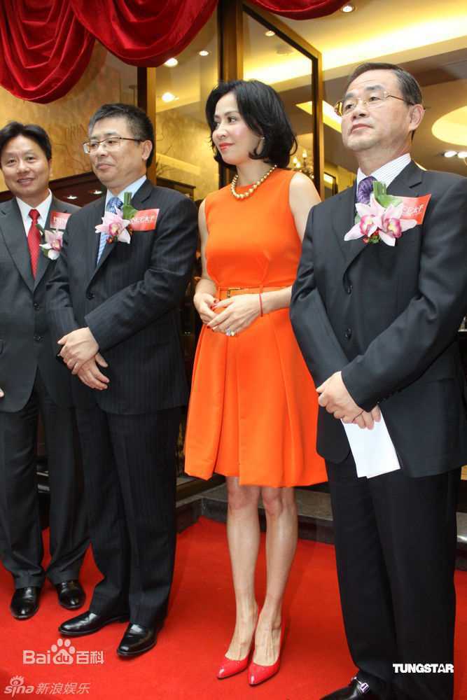 精选刘嘉玲(Carina Lau)精彩图册