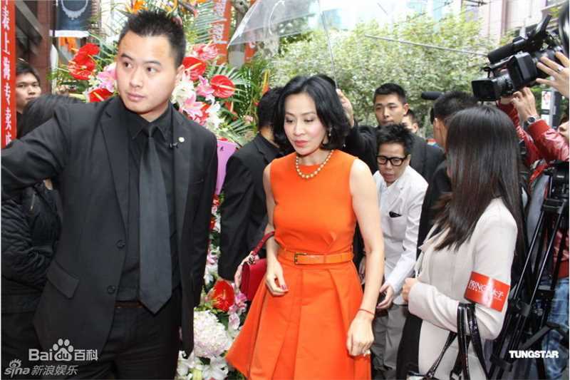 精选刘嘉玲(Carina Lau)精彩图册