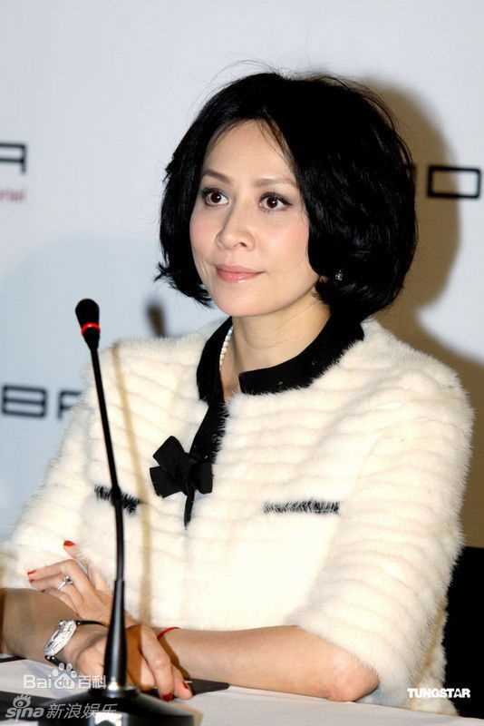 精选刘嘉玲(Carina Lau)精彩图册