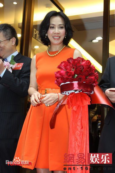 高清刘嘉玲(Carina Lau)精彩图册