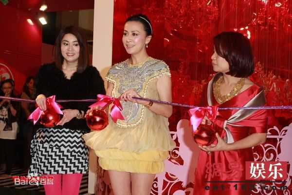 高清刘嘉玲(Carina Lau)精彩图册