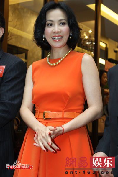 高清刘嘉玲(Carina Lau)精彩图册