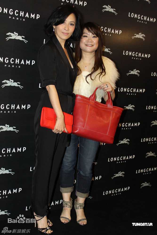 最优质刘嘉玲(Carina Lau)精彩图册