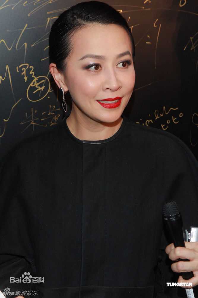 最优质刘嘉玲(Carina Lau)精彩图册