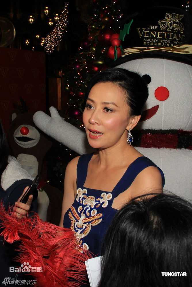 最优质刘嘉玲(Carina Lau)精彩图册