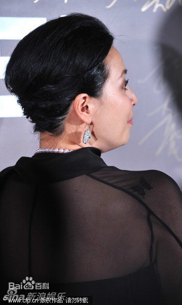 最优质刘嘉玲(Carina Lau)精彩图册