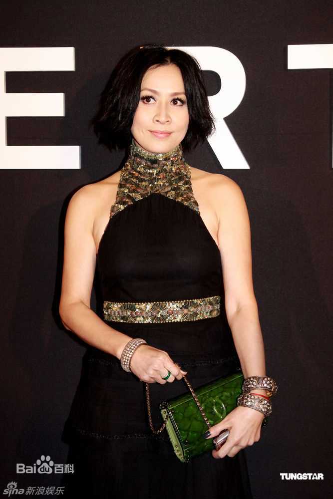 最优质刘嘉玲(Carina Lau)精彩图册