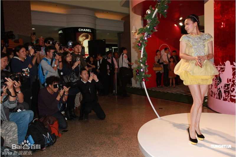 最优质刘嘉玲(Carina Lau)精彩图册