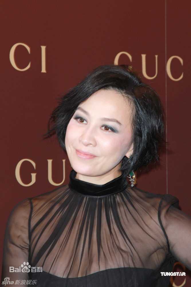 最优质刘嘉玲(Carina Lau)精彩图册