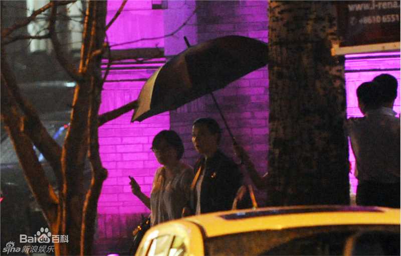 最优质刘嘉玲(Carina Lau)精彩图册