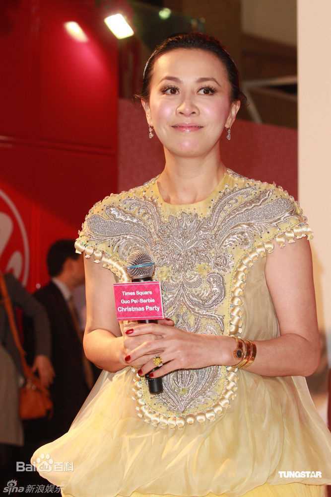 最优质刘嘉玲(Carina Lau)精彩图册