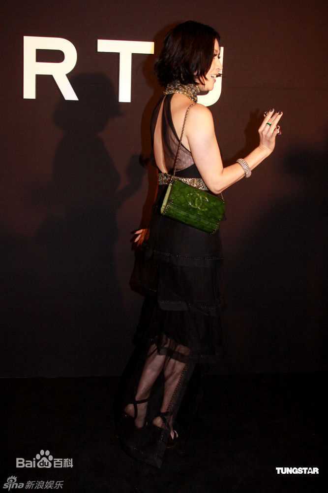 最优质刘嘉玲(Carina Lau)精彩图册