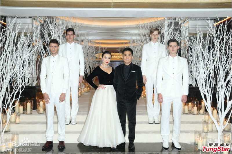 最全刘嘉玲(Carina Lau)壁纸