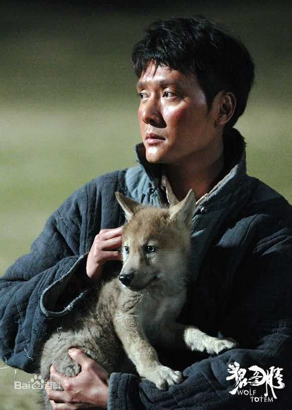 高清冯绍峰(William Feng)在电影《狼图腾》中的图册