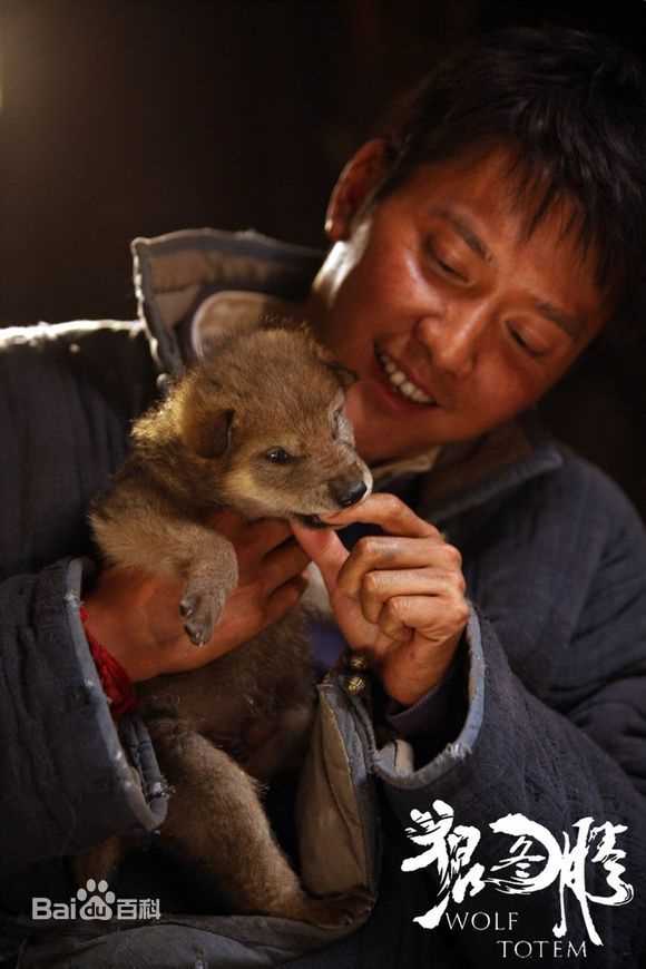 高清冯绍峰(William Feng)在电影《狼图腾》中的图册