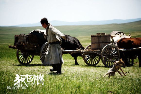 高清冯绍峰(William Feng)在电影《狼图腾》中的图册