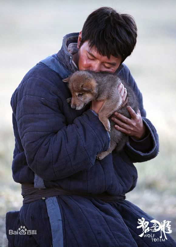 高清冯绍峰(William Feng)在电影《狼图腾》中的图册