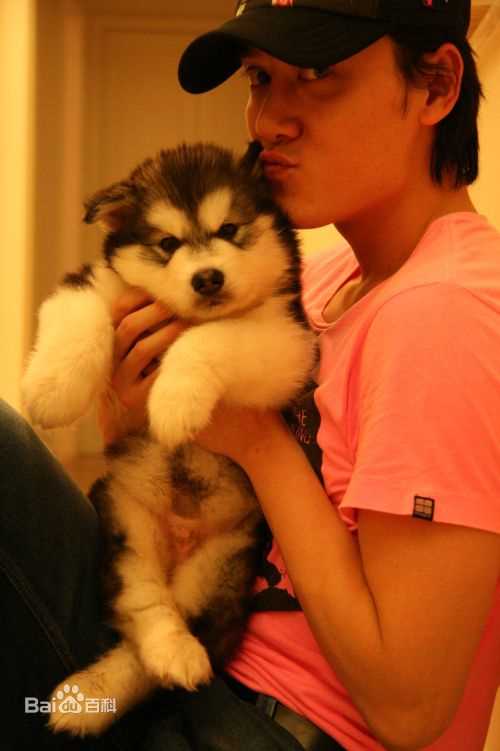 冯绍峰(William Feng)私拍集图册