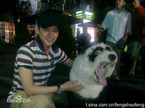 冯绍峰(William Feng)私拍集图册