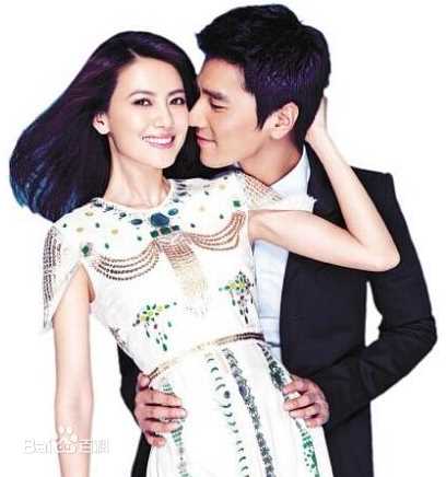 赵又廷(Mark Chao)高圆圆结婚照性感图片图集