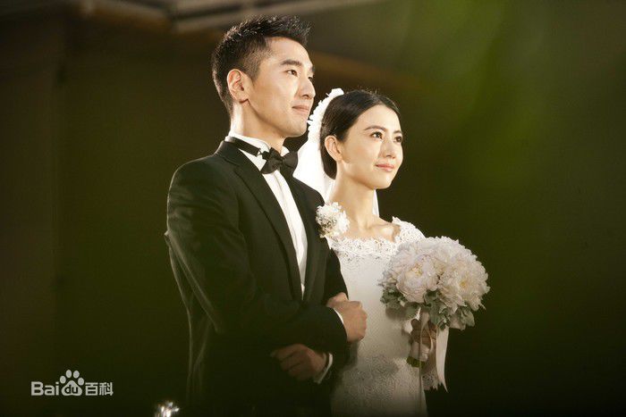赵又廷(Mark Chao)高圆圆结婚照性感图片图集