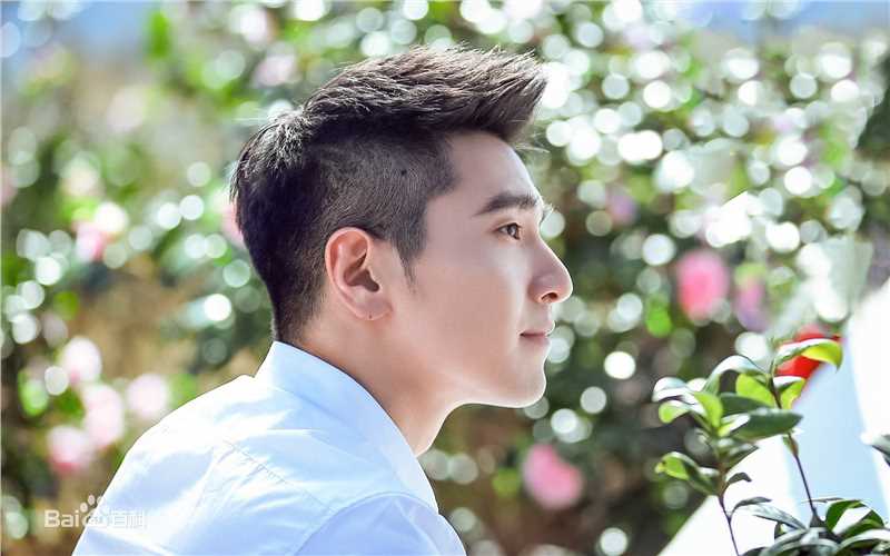 赵又廷(Mark Chao)侧颜性感图片图集