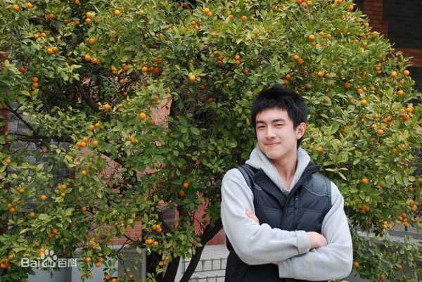 最优质林更新(Kenny Lin)精彩图册