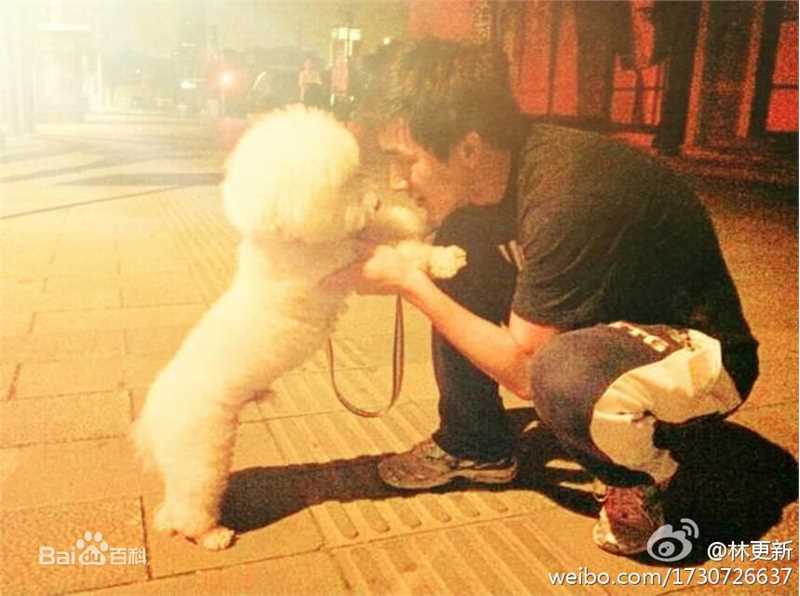 最优质林更新(Kenny Lin)精彩图册