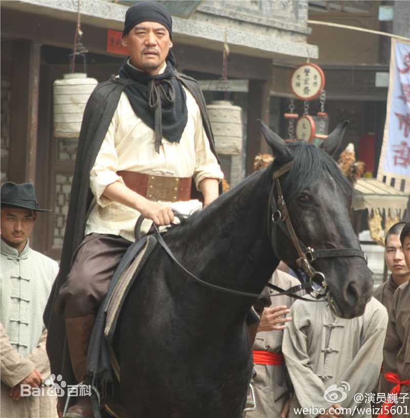 王巍电视作品（2000-2011年）素颜照相册