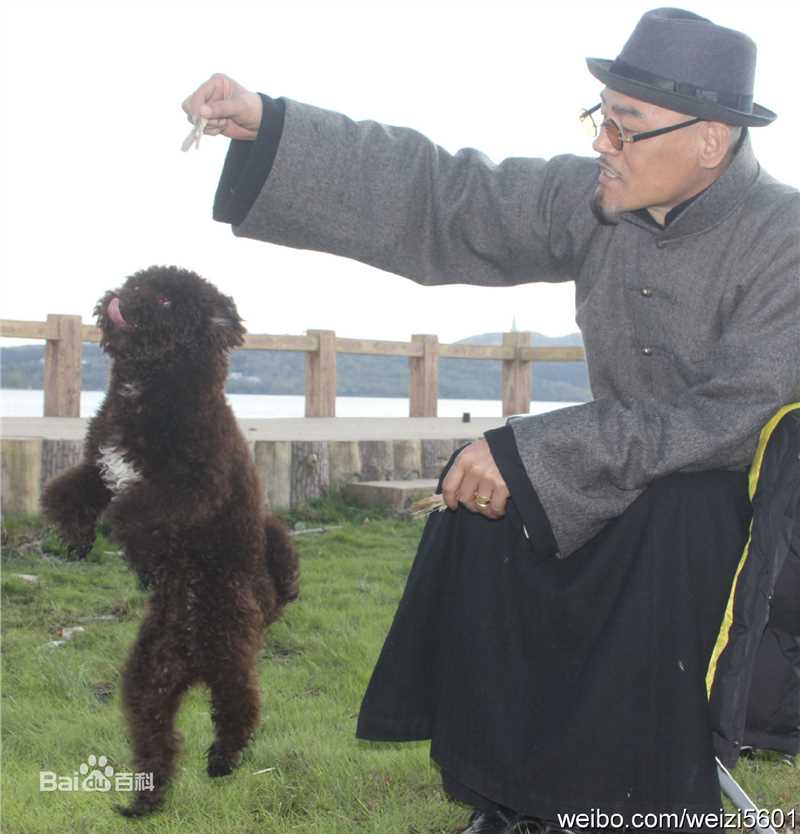 王巍电视剧《大戏法》最新剧照