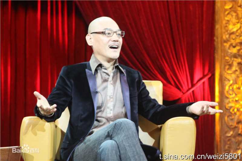 最优质王巍在《艺术人生》节目中的相册