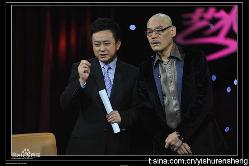 最优质王巍在《艺术人生》节目中的相册