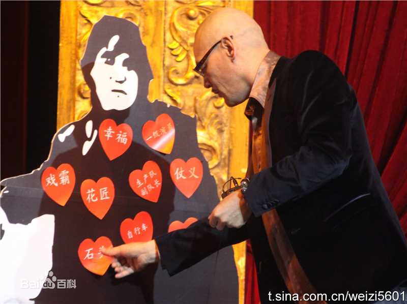 最优质王巍在《艺术人生》节目中的相册