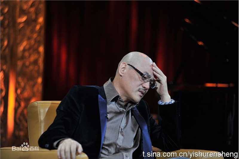 最优质王巍在《艺术人生》节目中的相册