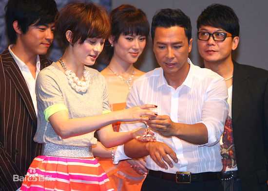 甄子丹(Donnie Yen)参与影视宣传壁纸壁纸