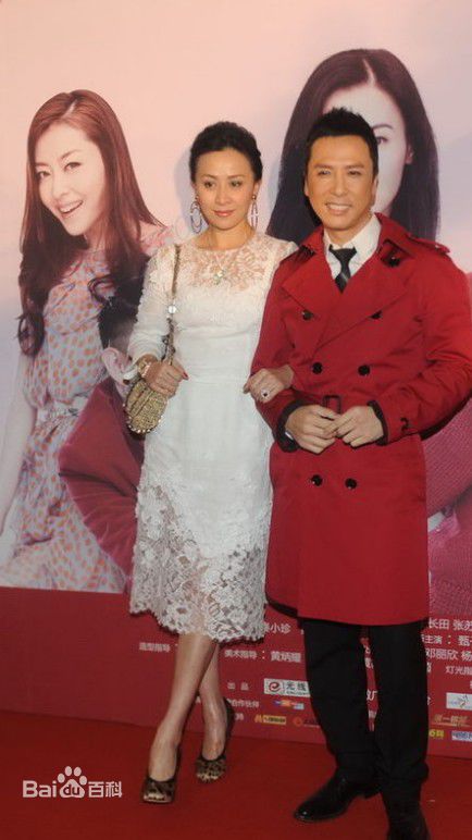 甄子丹(Donnie Yen)参与影视宣传壁纸壁纸